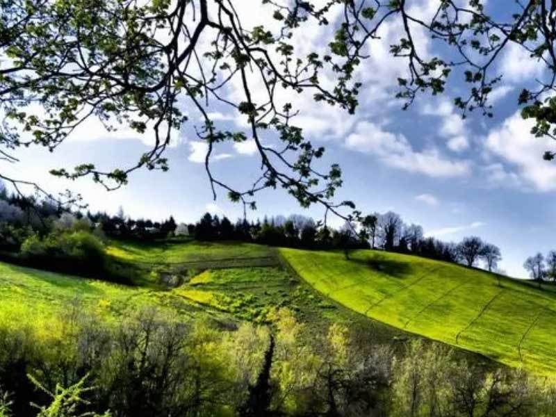 埃弗顿新赛季备战稳步推进