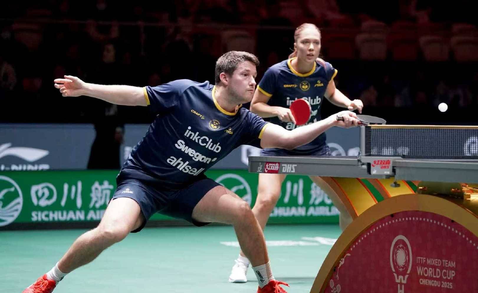 日本队击败德国队，张本美和横扫考夫蔓，香港队击败日本队